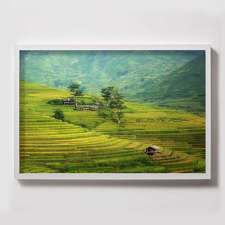 Paisaje5