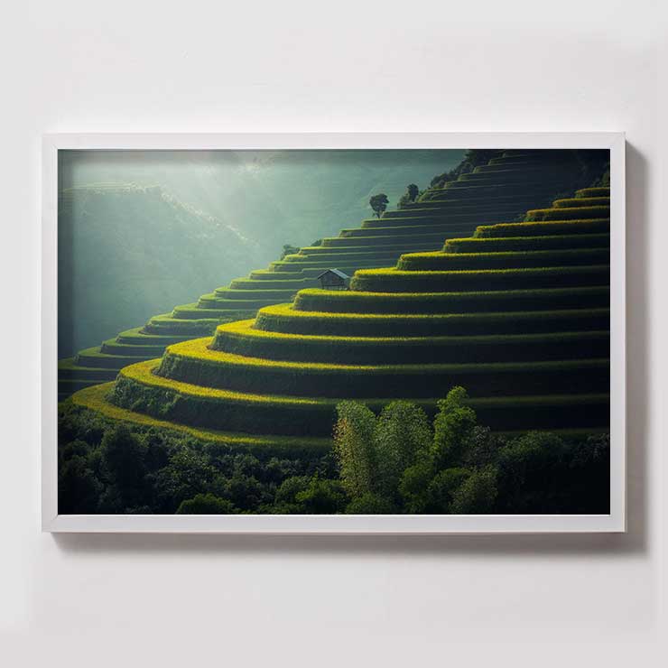 Paisaje7