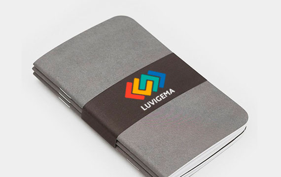 luvigema-notas luvigema-notas