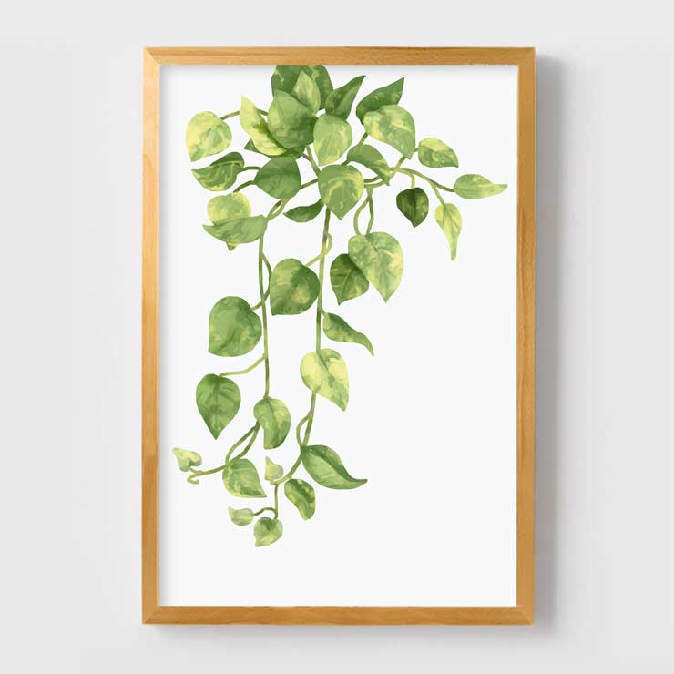 plant01