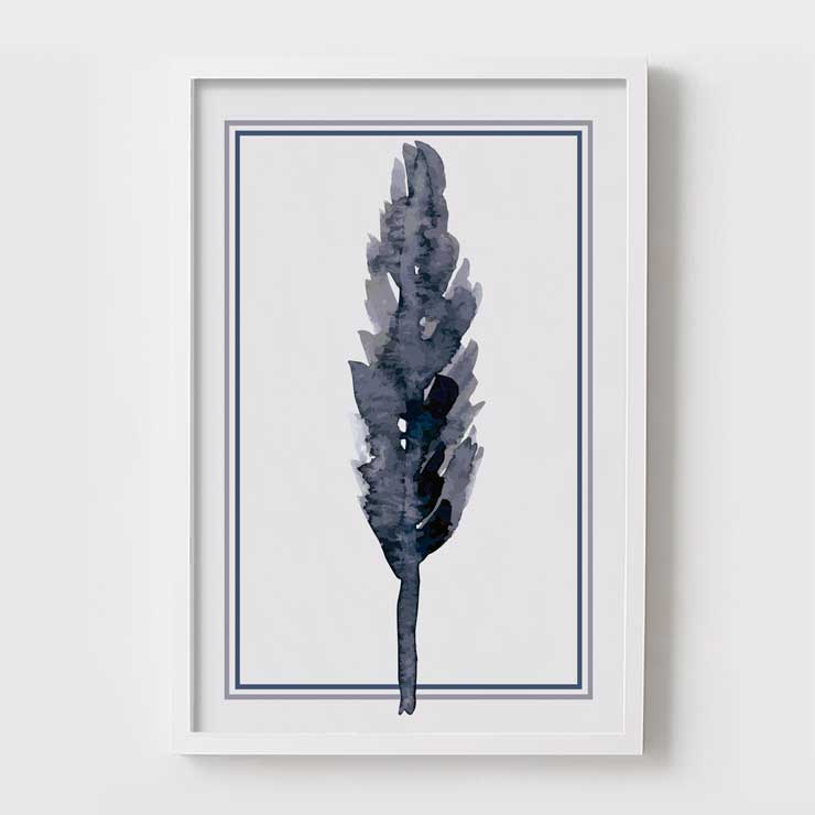pluma03